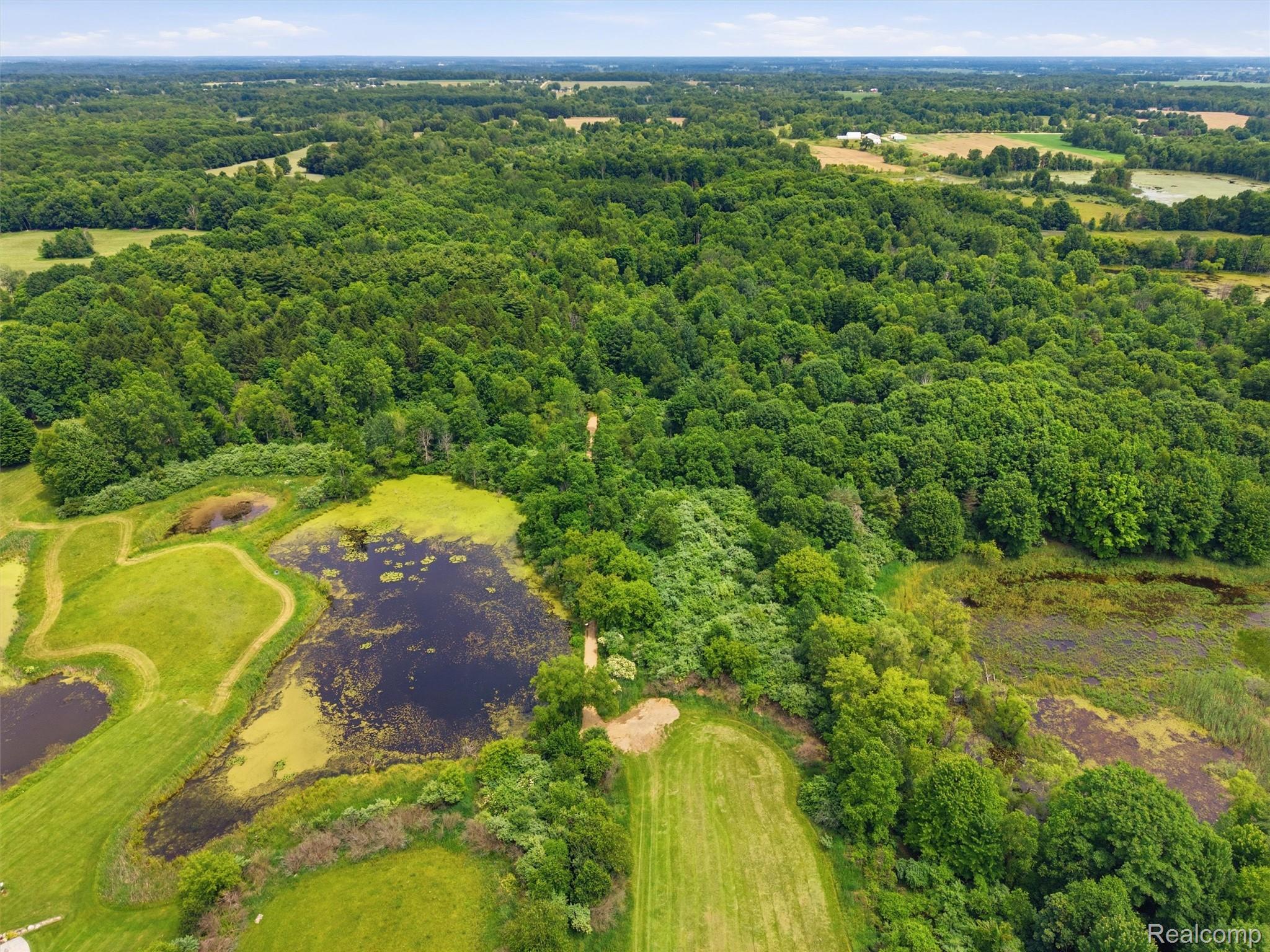 2976 Slattery Road Attica, MI 48412 - Photo 66 of 72 020-DJI_20260629142935_0940_D.jpg
