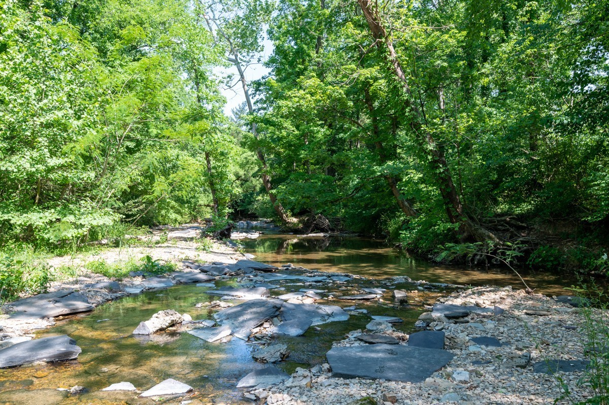 3011 Tyree Springs Road Hendersonville, TN 37075 - Photo 35 of 43 a view of a backyard with green space