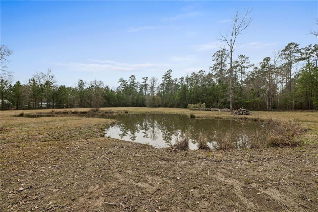 20165 Happywoods Road Springfield, LA 70462 - Photo 25 of 26 Gallery Image 25