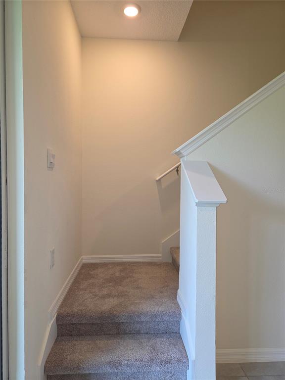 32181 Turtle Grace Loop Wesley Chapel, FL 33545 - Photo 17 of 37 Gallery Image 17