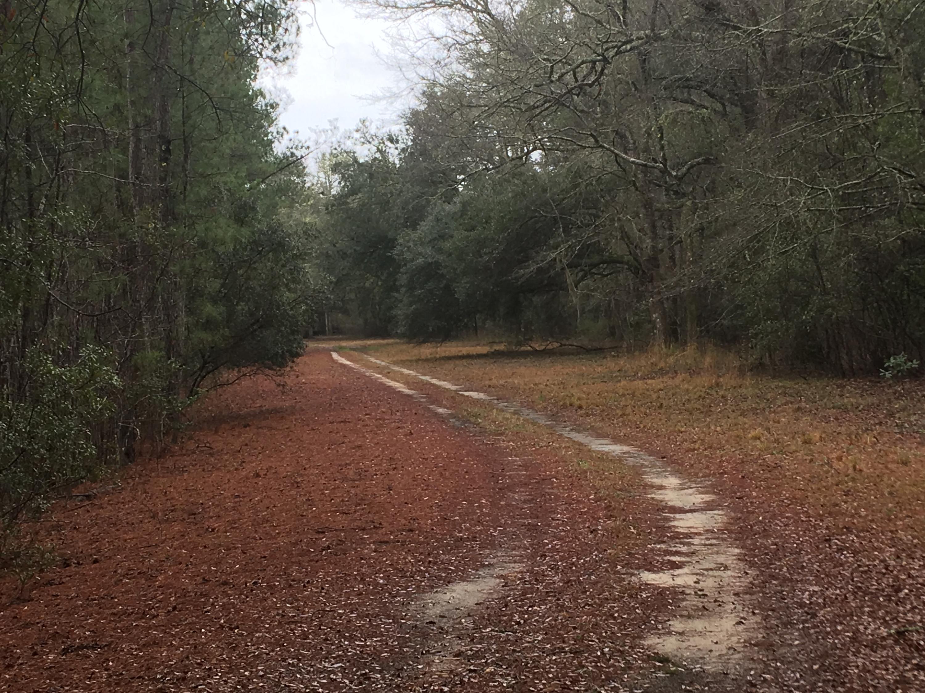 6501 Red Oak Road Cottageville, SC 29435 - Photo 2 of 11 IMG_1669
