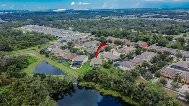a view of a backyard with large trees