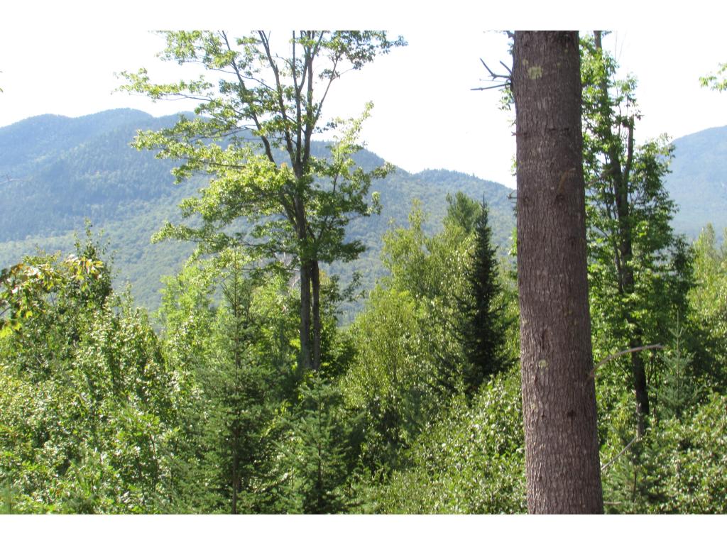 127 Parker Ridge Road Bartlett, NH 03838 - Photo 3 of 11