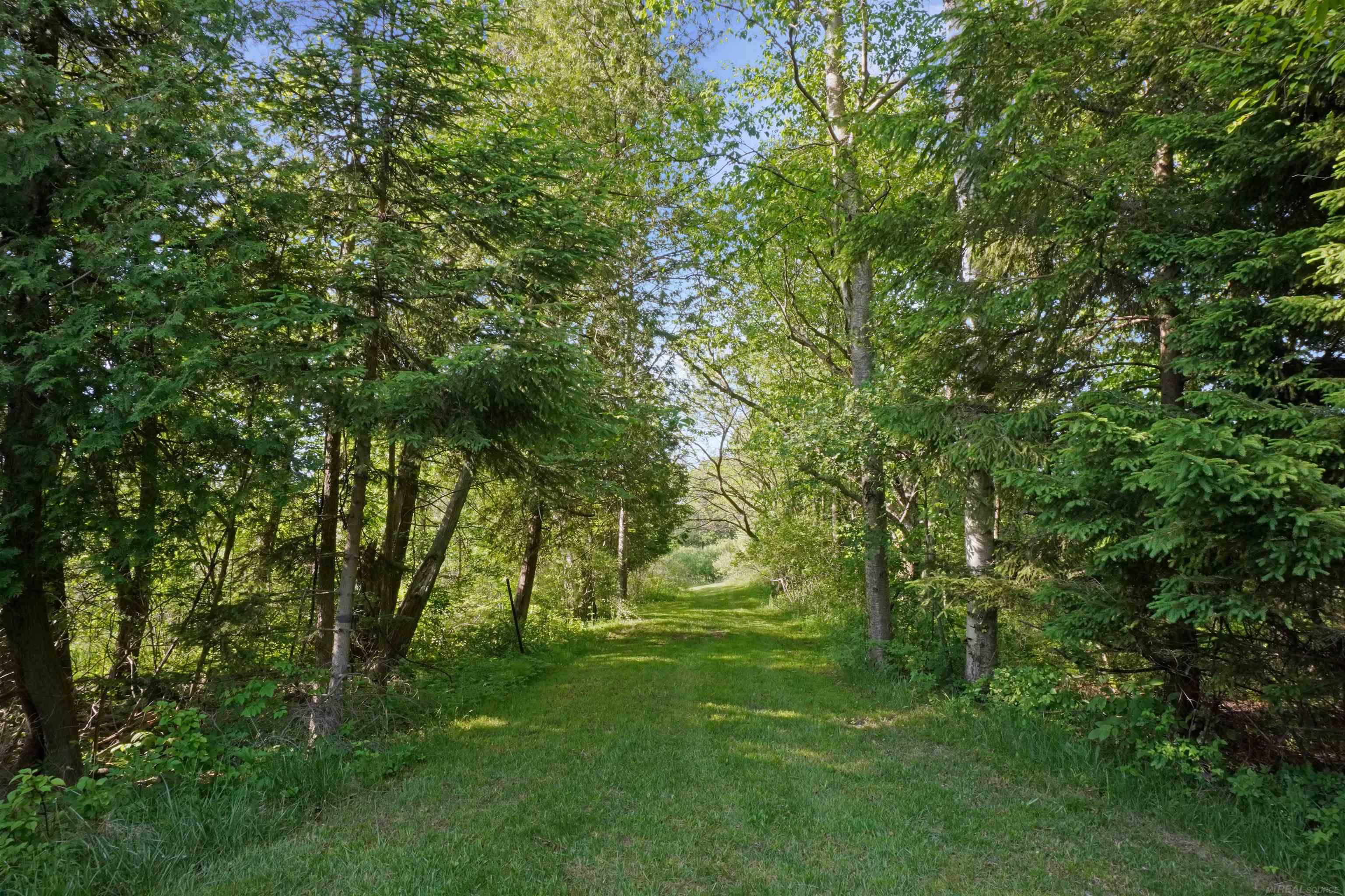 1385 North Blacks Corners Road Imlay City, MI 48444 - Photo 40 of 57