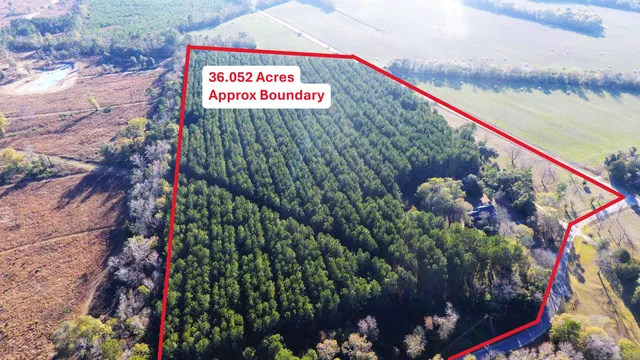 $1,261,820 | 144 Broughton Lane, Eutawville, SC 29048