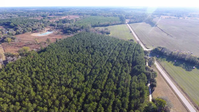 $1,261,820 | 144 Broughton Lane, Eutawville, SC 29048