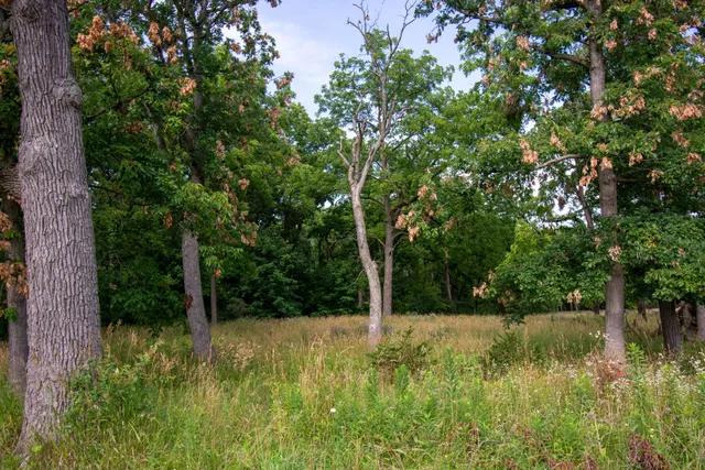 $295,000 | Lt20 Lt20 Springfield Road, Geneva, WI 53147