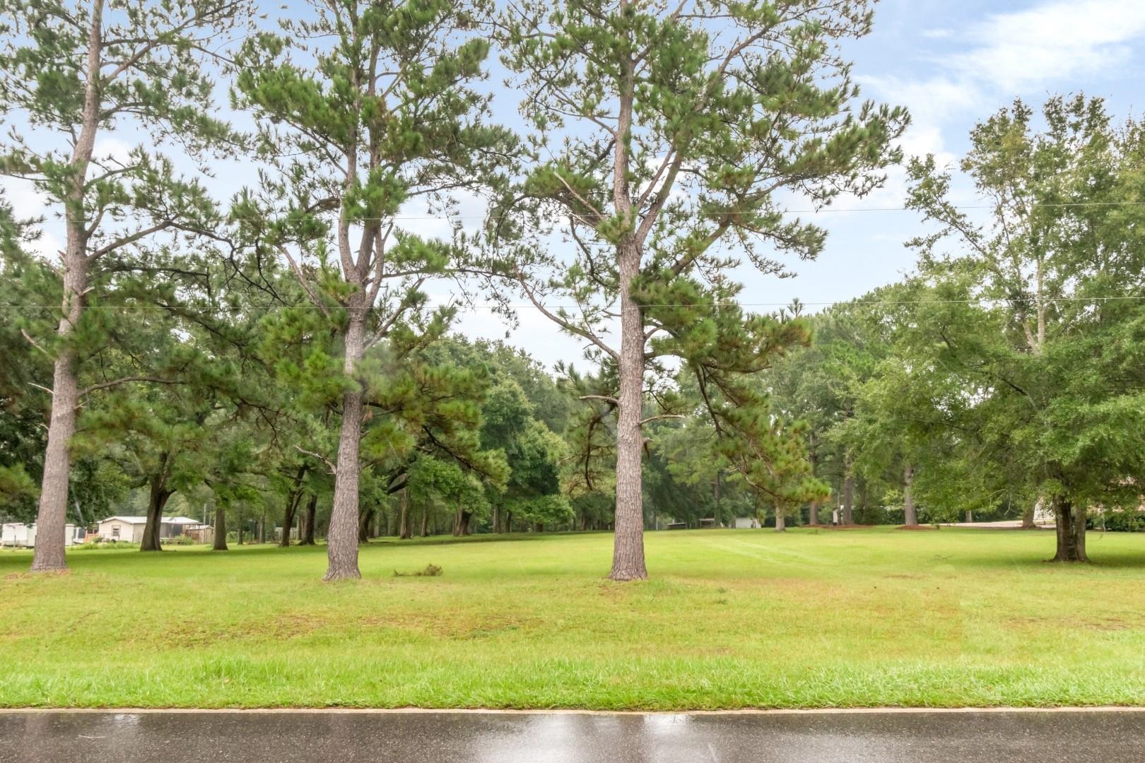 19108 Rada Road Silverhill, AL 36576 - Photo 1 of 11 Community