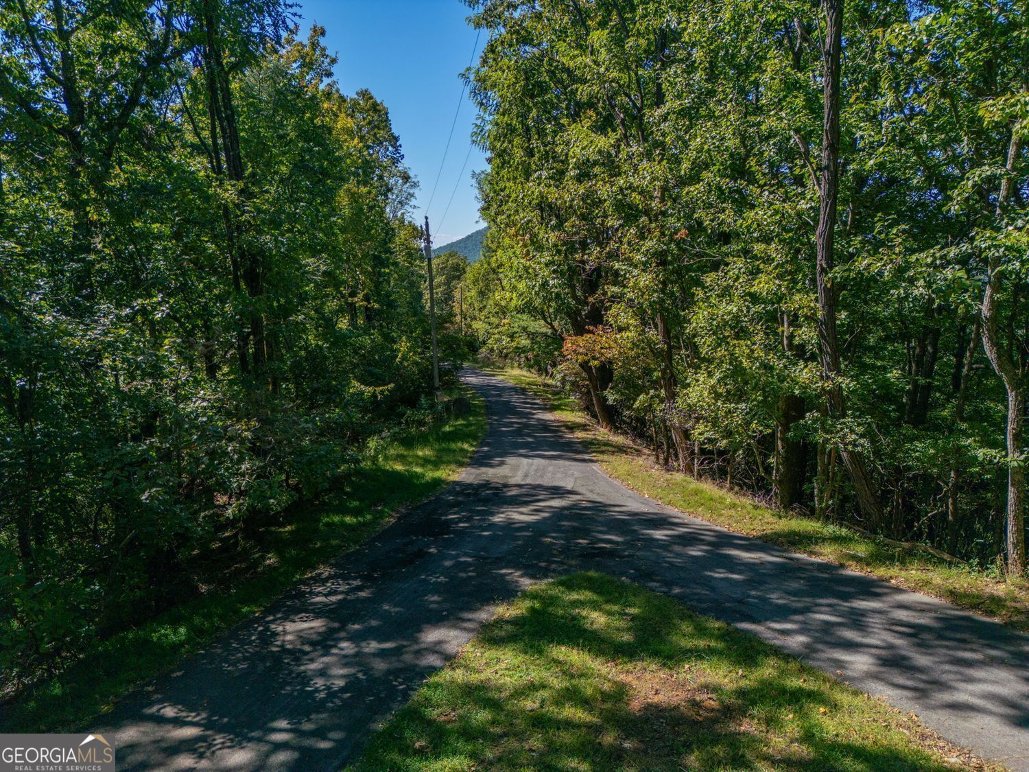 0 Shadowick Mountain Road Jasper, GA 30143 - Photo 10 of 19 a view of a yard with plants and large trees