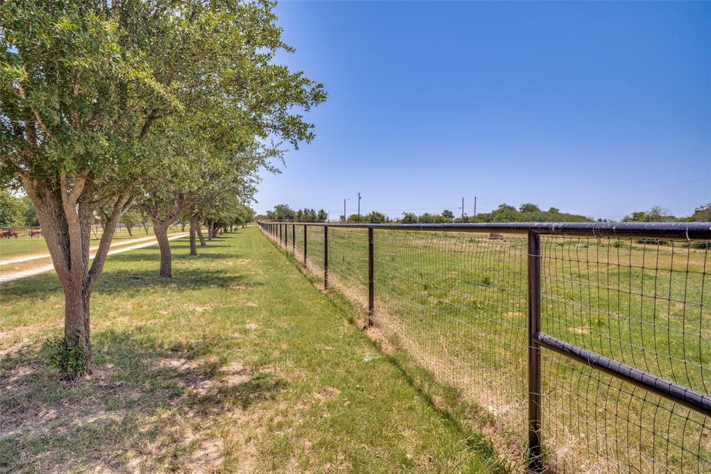243 ROCK Court Decatur, TX 76234 - Photo 21 of 25 Expansive fenced perimeter featuring a line of mature trees, a metal mesh fence, and a clear blue sky