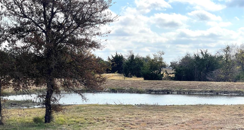 440 Ballman Road Riesel, TX 76682 - Photo 5 of 32 a view of a yard with large trees