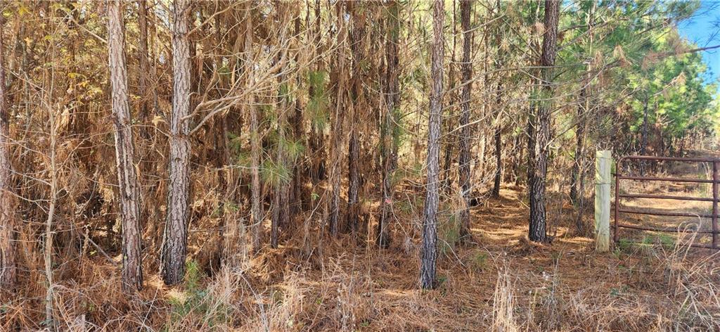 0 Jaudon Road Elberton, GA 30635 - Photo 2 of 7