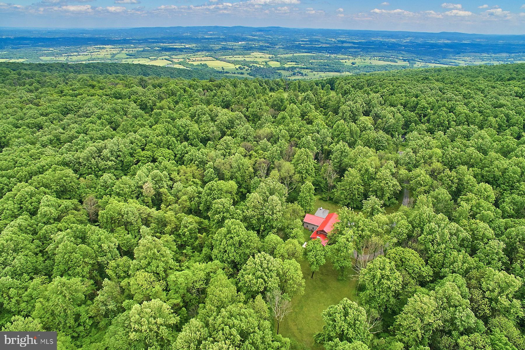 20769 Blue Ridge Mountain Road Paris, VA 20130 - Photo 3 of 63 Nestled in the woods