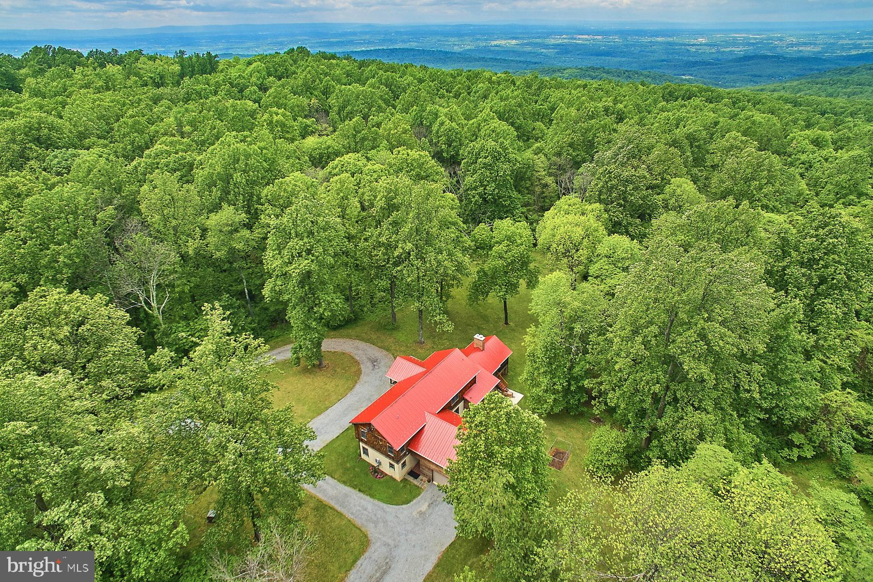 20769 Blue Ridge Mountain Road Paris, VA 20130 - Photo 4 of 63 Nice long gravel driveway
