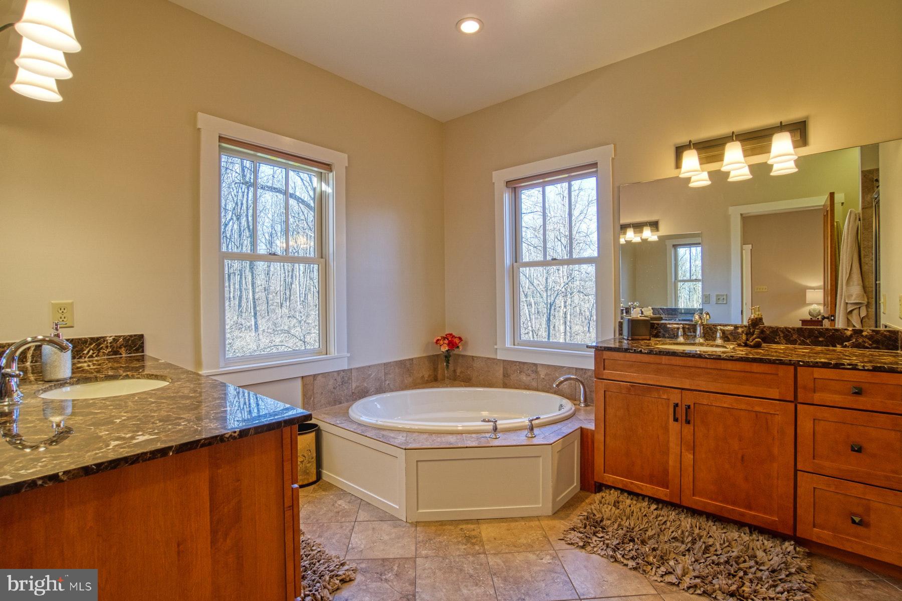 20769 Blue Ridge Mountain Road Paris, VA 20130 - Photo 33 of 63 Attached bathroom to second floor primary bedroom