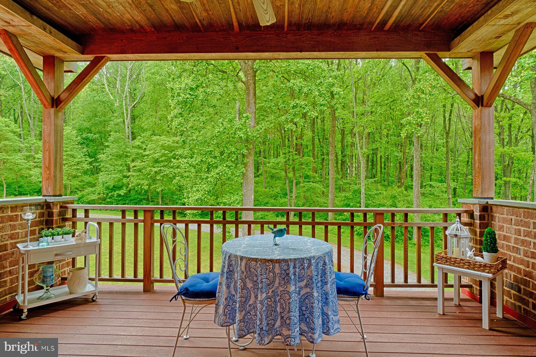 20769 Blue Ridge Mountain Road Paris, VA 20130 - Photo 35 of 63 Walk out balcony from 2nd level primary bedroom