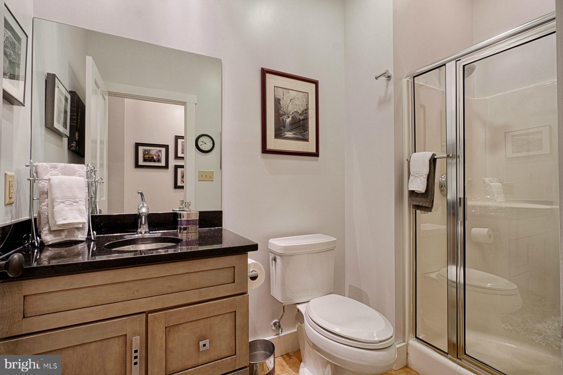 20769 Blue Ridge Mountain Road Paris, VA 20130 - Photo 48 of 63 Lower level full bathroom