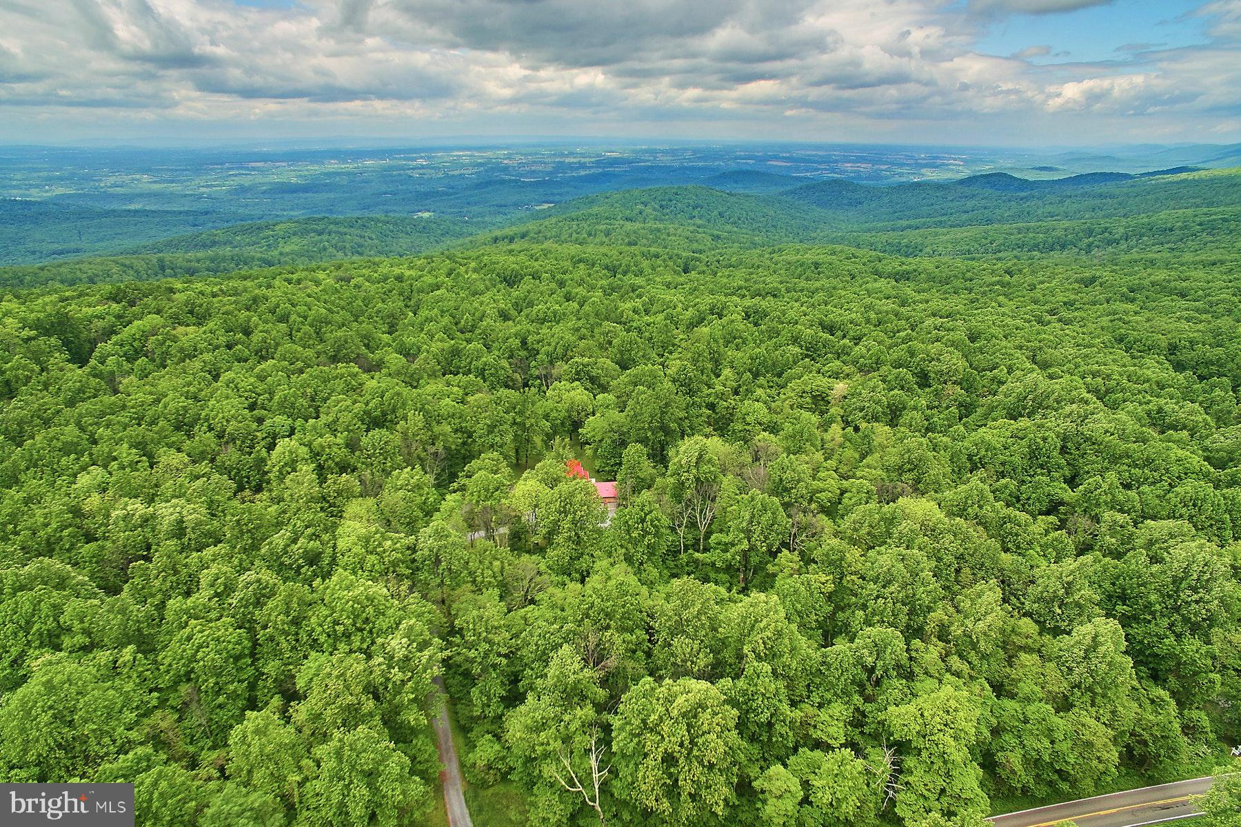 20769 Blue Ridge Mountain Road Paris, VA 20130 - Photo 56 of 63 Gallery Image 56