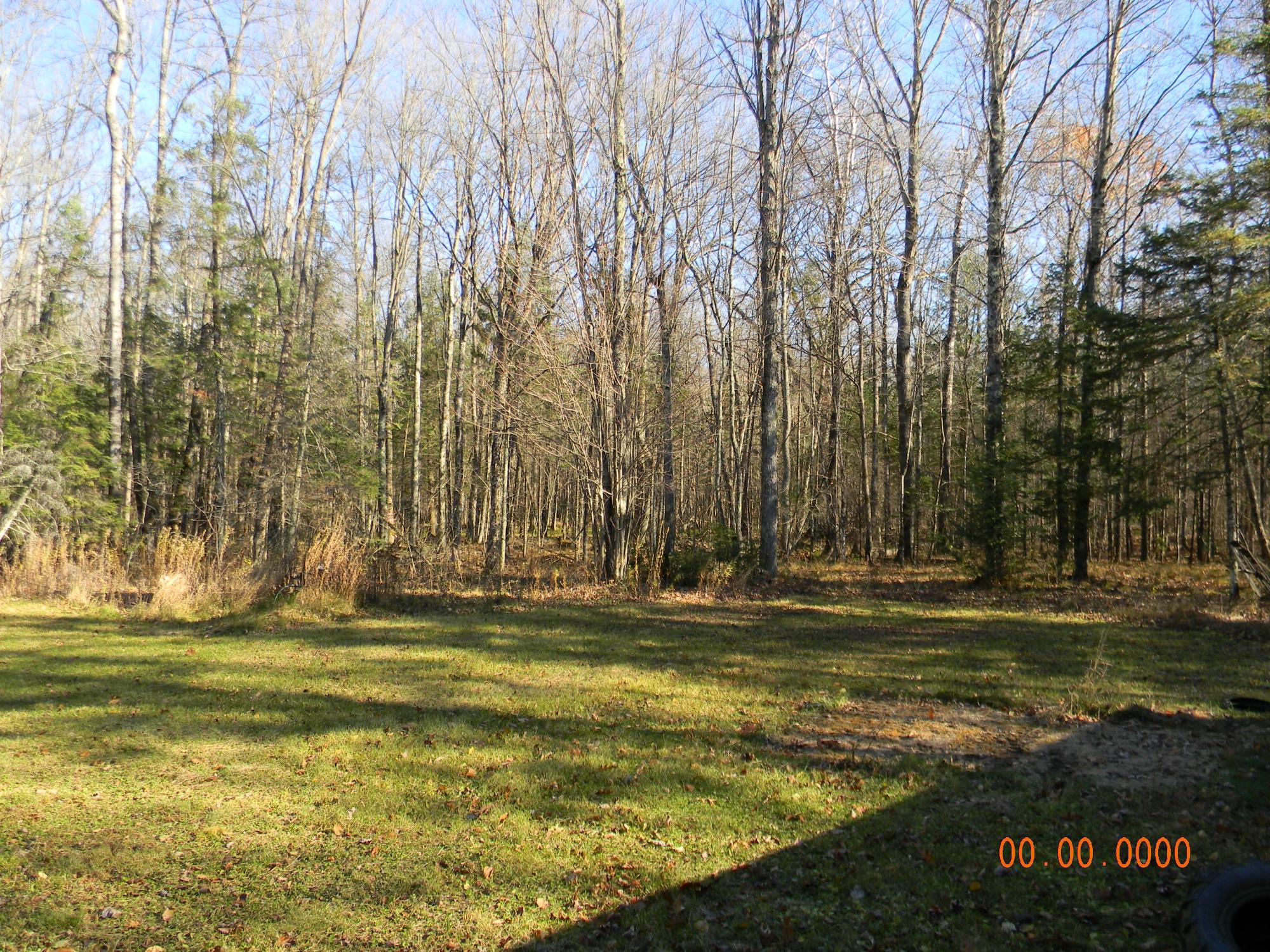 N7873 Forest Road Deerbrook, WI 54424 - Photo 9 of 31 Gallery Image 9
