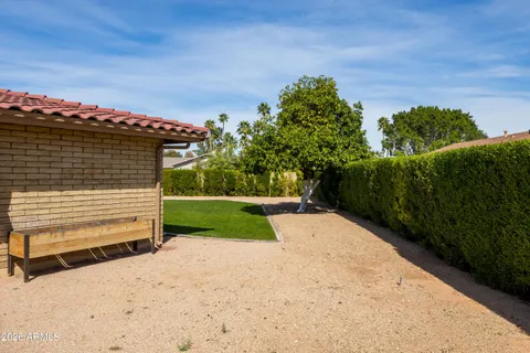 a view of a backyard