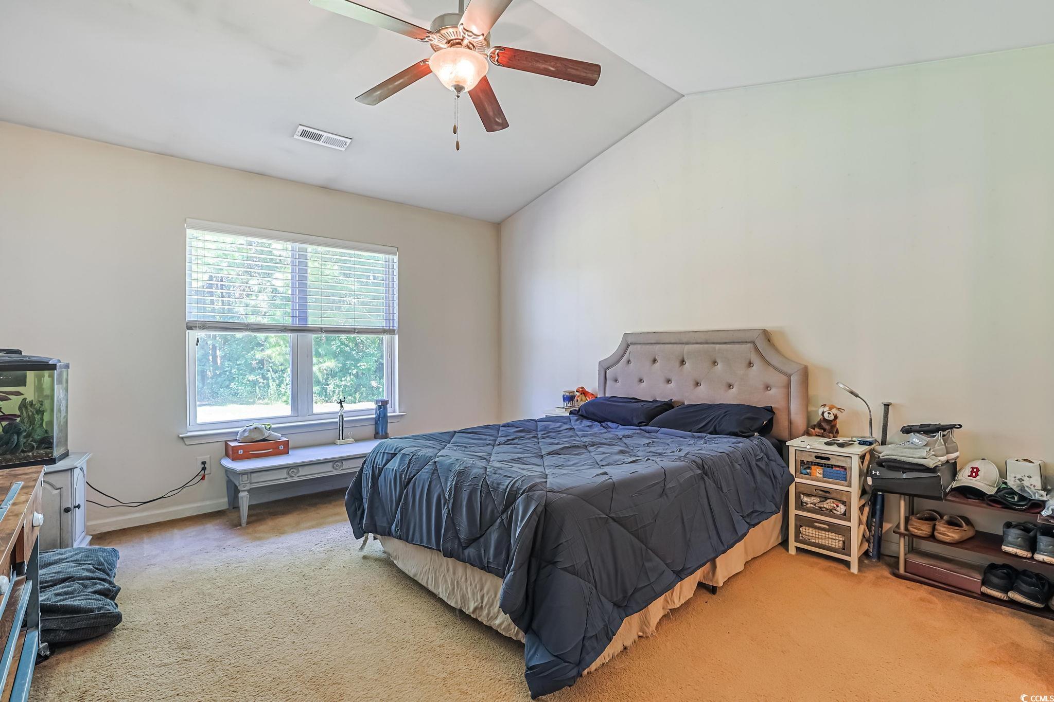 692 Trap Shooter Circle Longs, SC 29568 - Photo 10 of 21