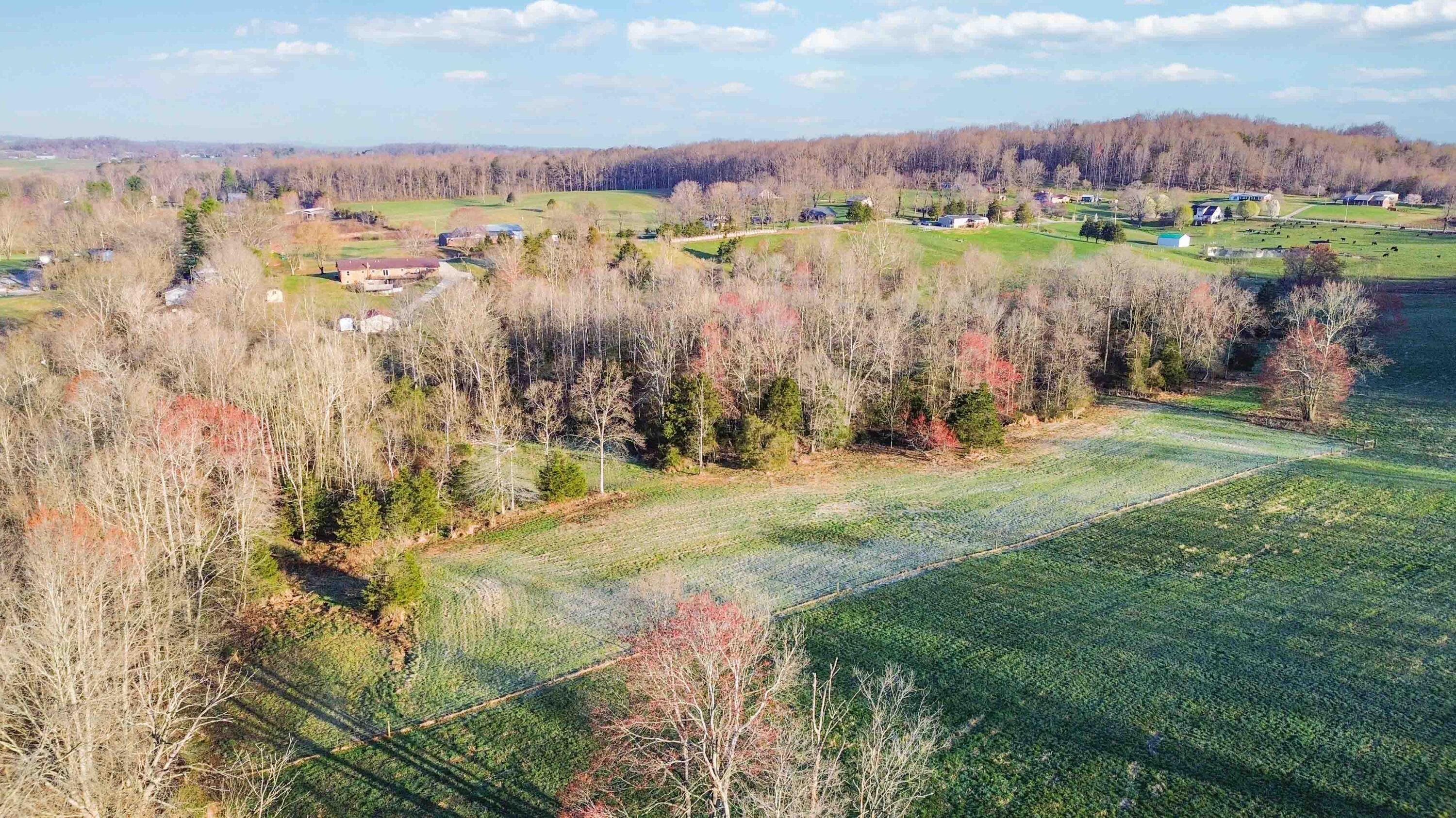 999 East Todd Road Science Hill, KY 42553 - Photo 1 of 17 009