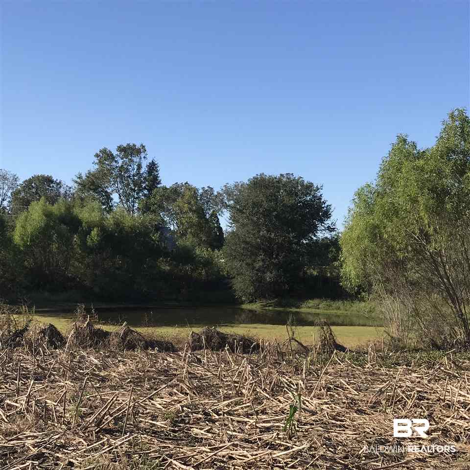 Langforoad Road Fairhope, AL 36532 - Photo 5 of 9