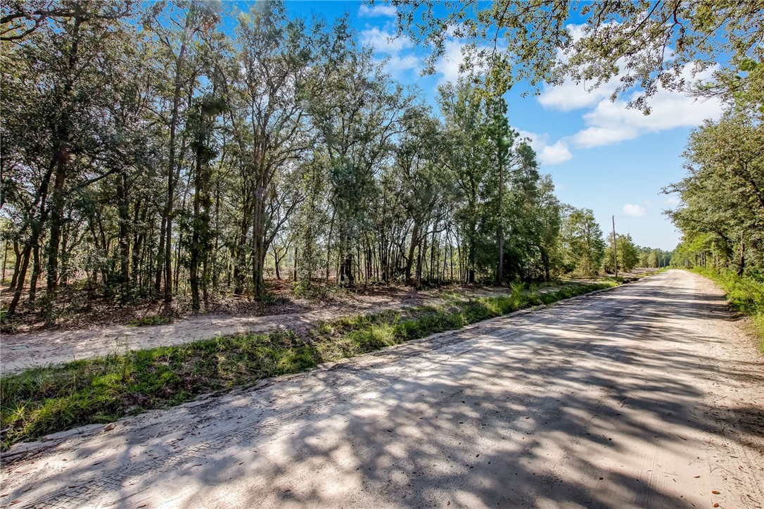 Lot 56 Franklin Road Hilliard, FL 32046 - Photo 6 of 11 Gallery Image 6