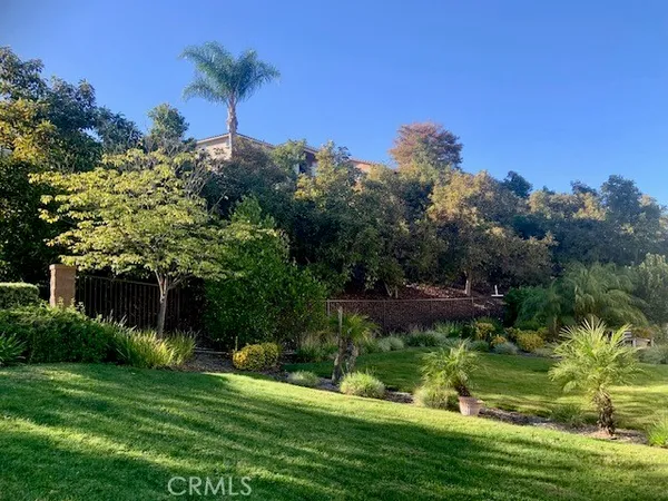 a view of a garden