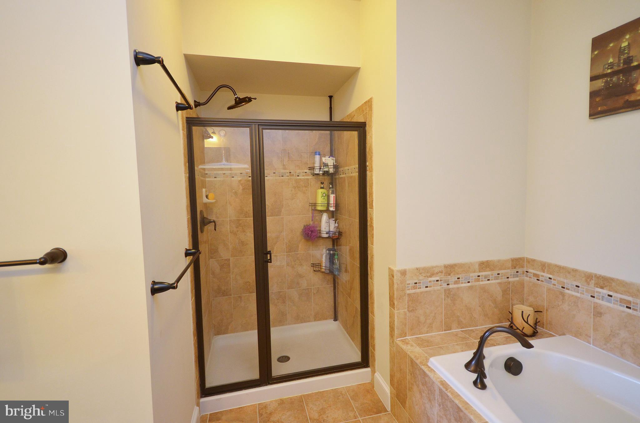 42560 Sunset Ridge Square Ashburn, VA 20148 - Photo 18 of 30 Bath (Master)