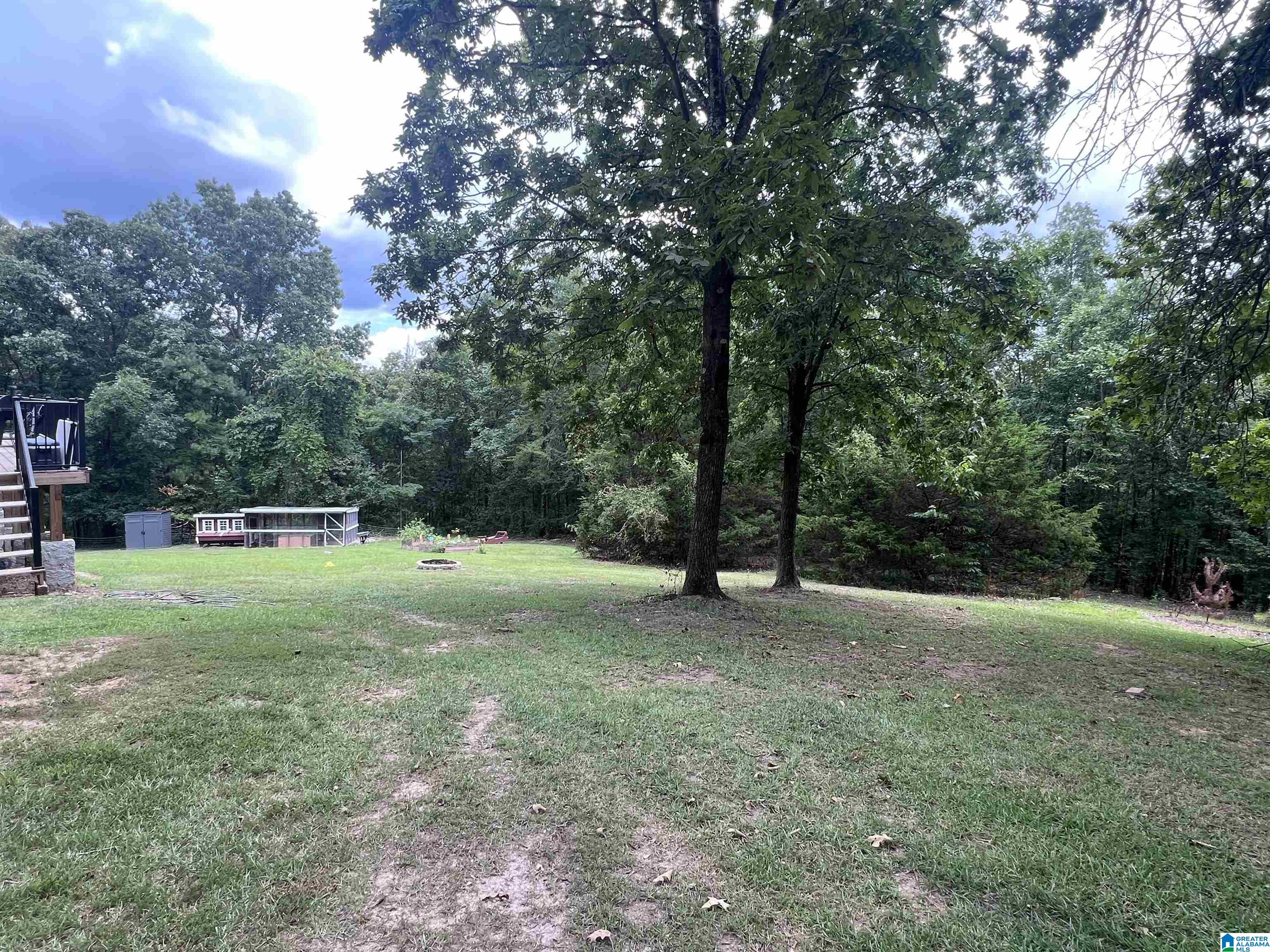 175 Shady Hollow Road Eastaboga, AL 36260 - Photo 49 of 50