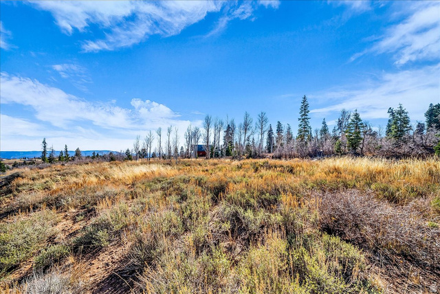 367 Spring Drive, Unit 67 Springdale, UT 84767 - Photo 10 of 13 View of undeveloped land featuring rural landscape