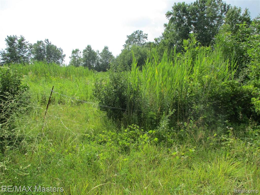 25800 Clark Road New Boston, MI 48164 - Photo 1 of 3