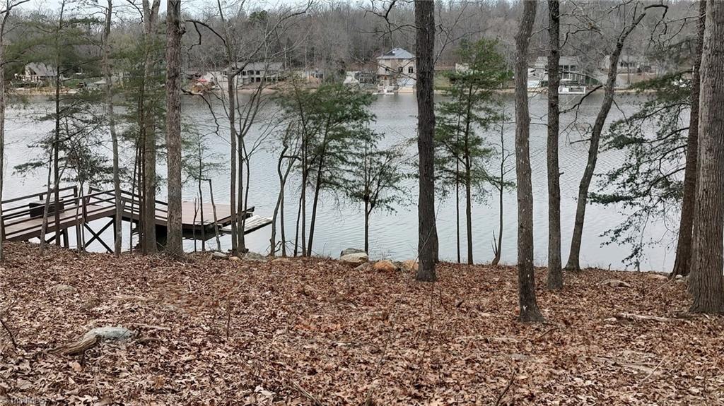 422 Rima Landing Denton, NC 27239 - Photo 1 of 7 Shared dock in place