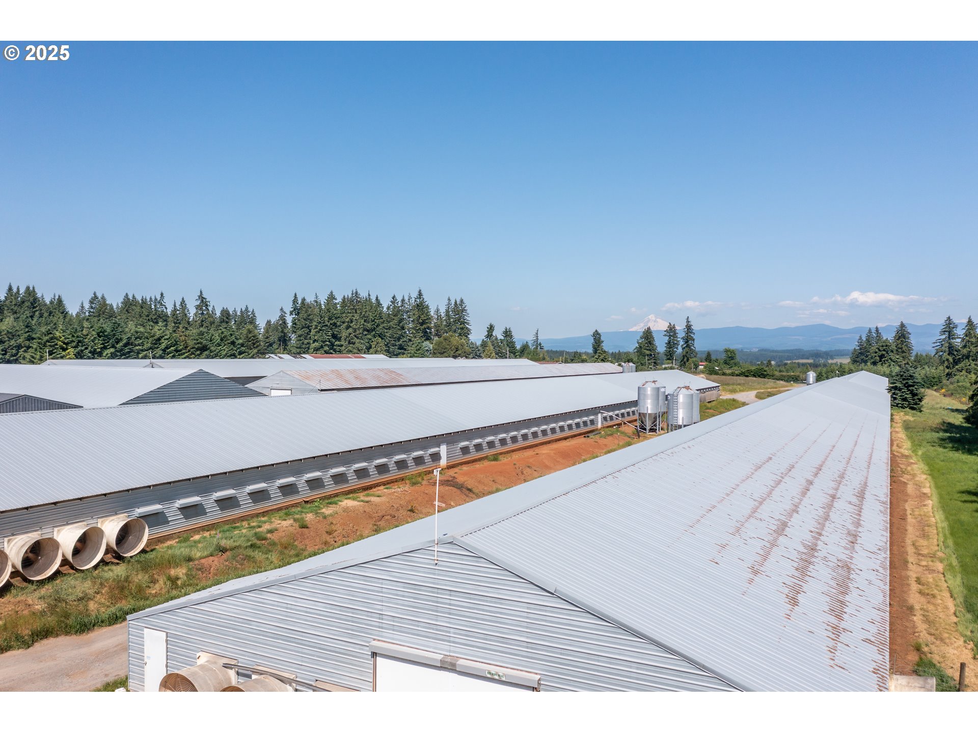 25641 South Schockley Road Beavercreek, OR 97004 - Photo 12 of 45