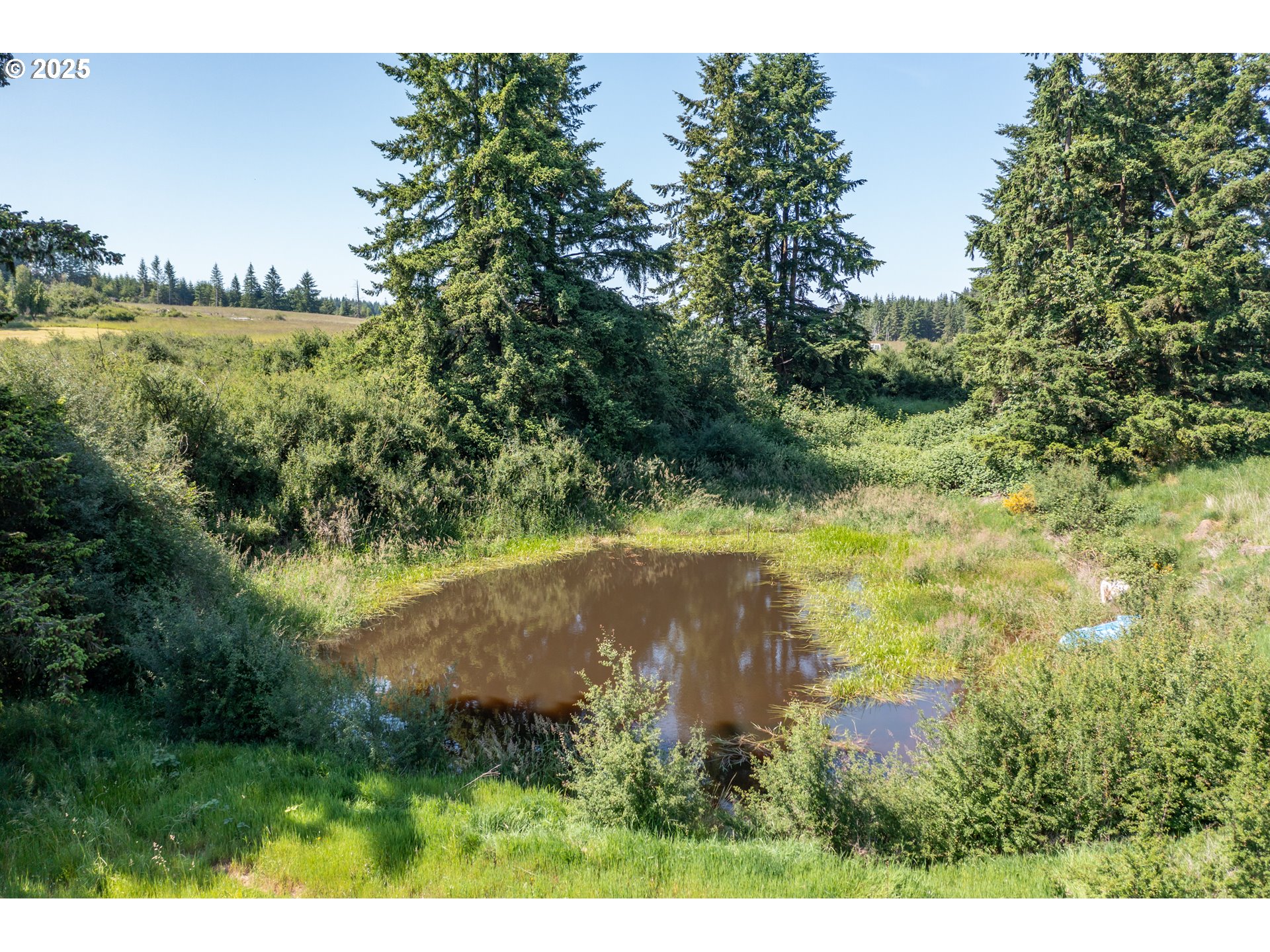 25641 South Schockley Road Beavercreek, OR 97004 - Photo 33 of 45
