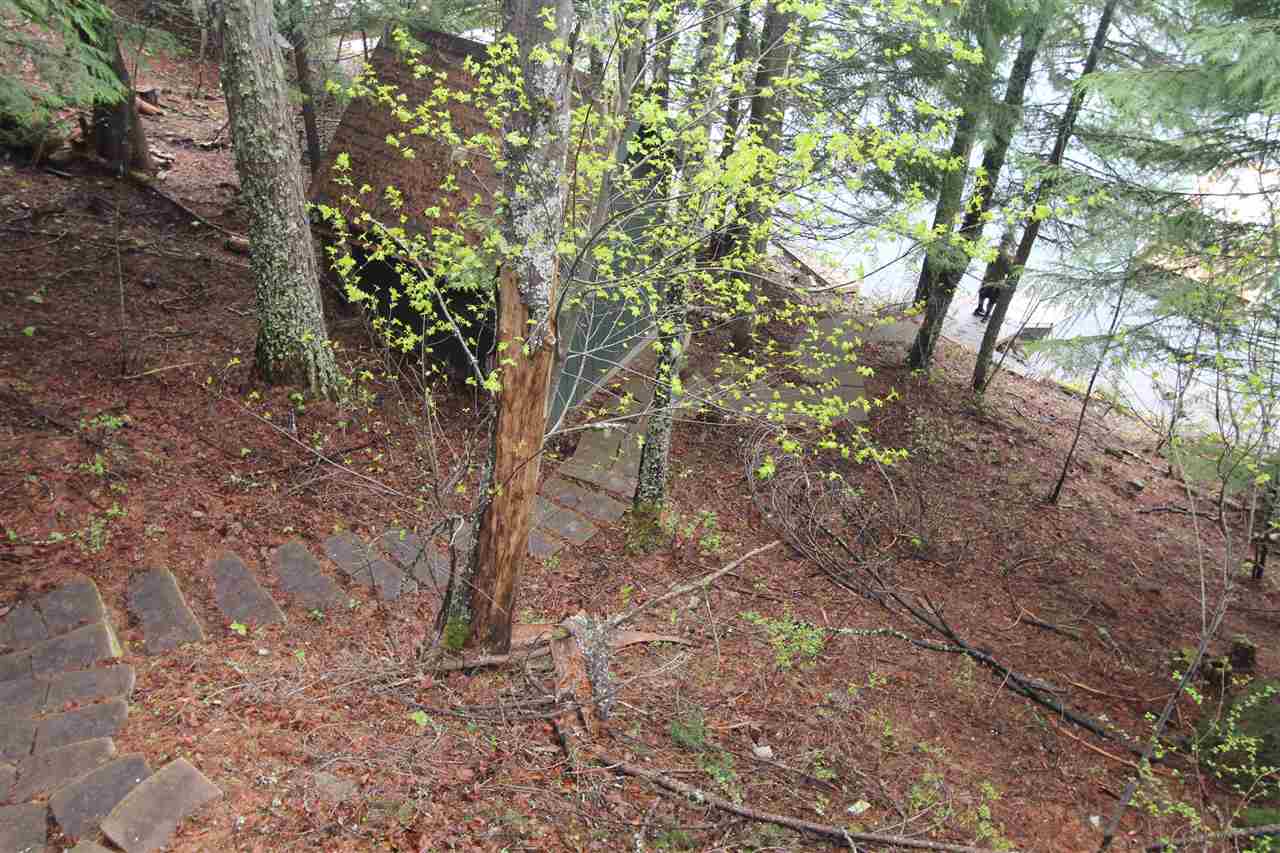 161 Marshall Lake Road Newport, WA 99156 - Photo 9 of 18 Gallery Image 9