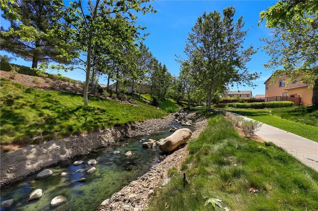 a view of a park with large trees