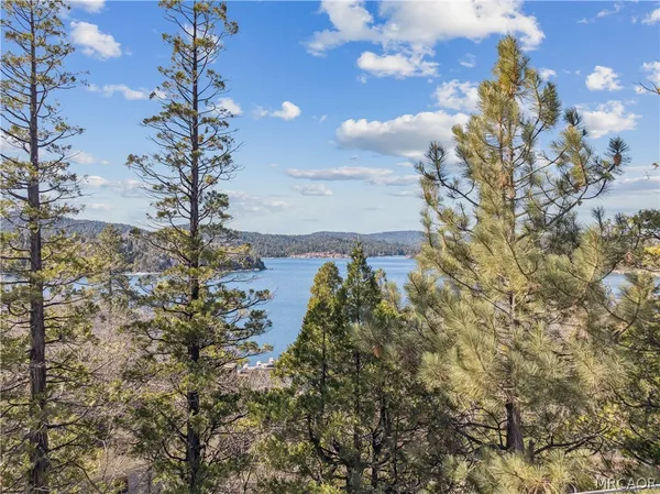 a view of a tree with a yard