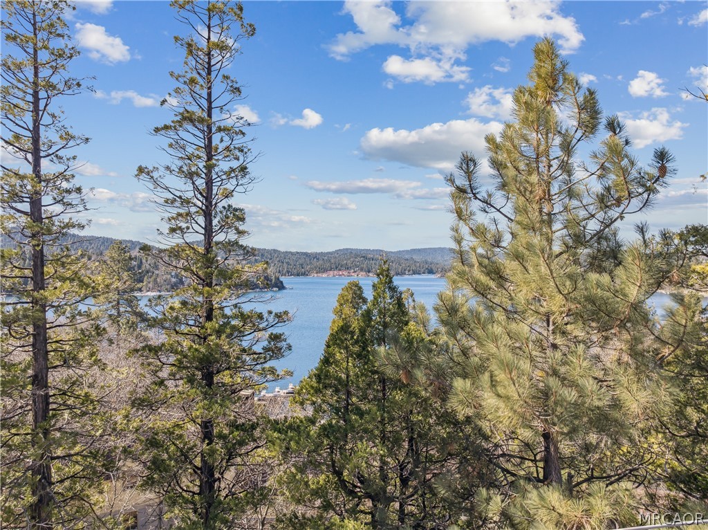 28994 North Shore Road Lake Arrowhead, CA 92352 - Photo 4 of 50 a view of a tree with a yard