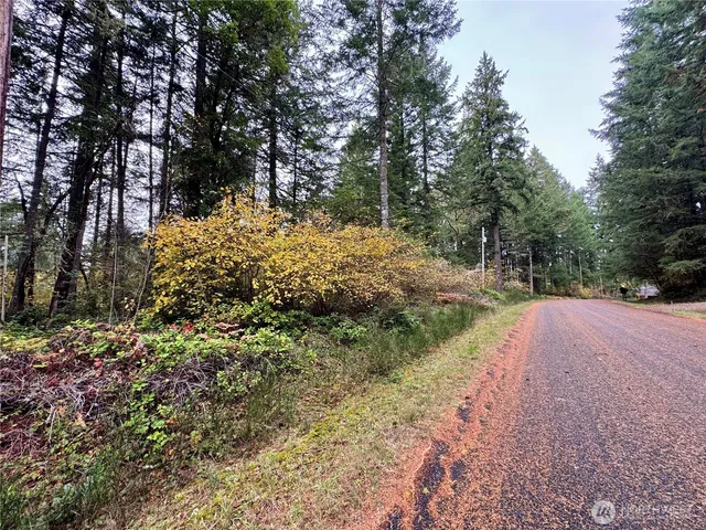 a view of outdoor space and trees