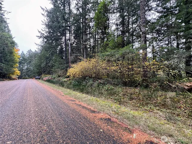 a view of a field with plants and trees