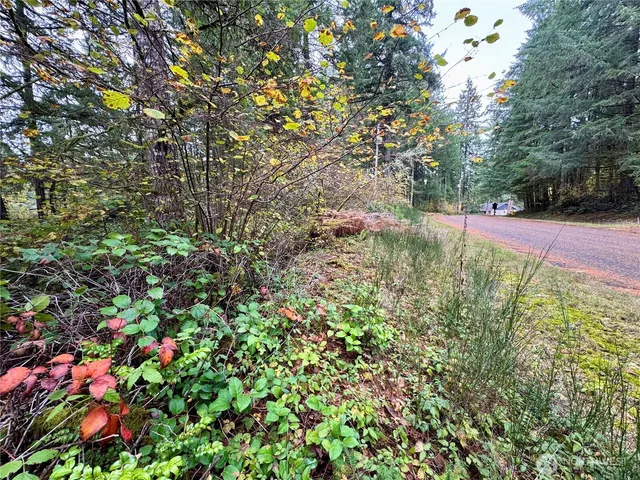 a backyard of a house with lots of green space