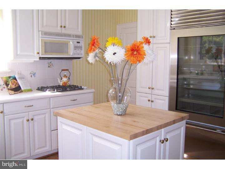 1086 Randolph Road Jenkintown, PA 19046 - Photo 9 of 25 Kitchen