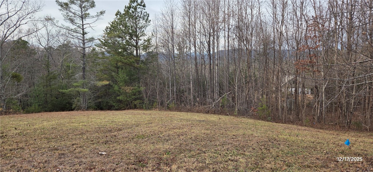 1 Lenore B Lane Mountain Rest, SC 29664 - Photo 13 of 30 Seasonal mountain view in Fall/Winter