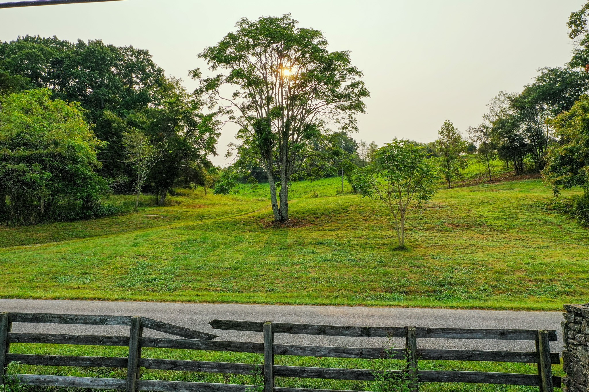 a view of a yard with wooden fence