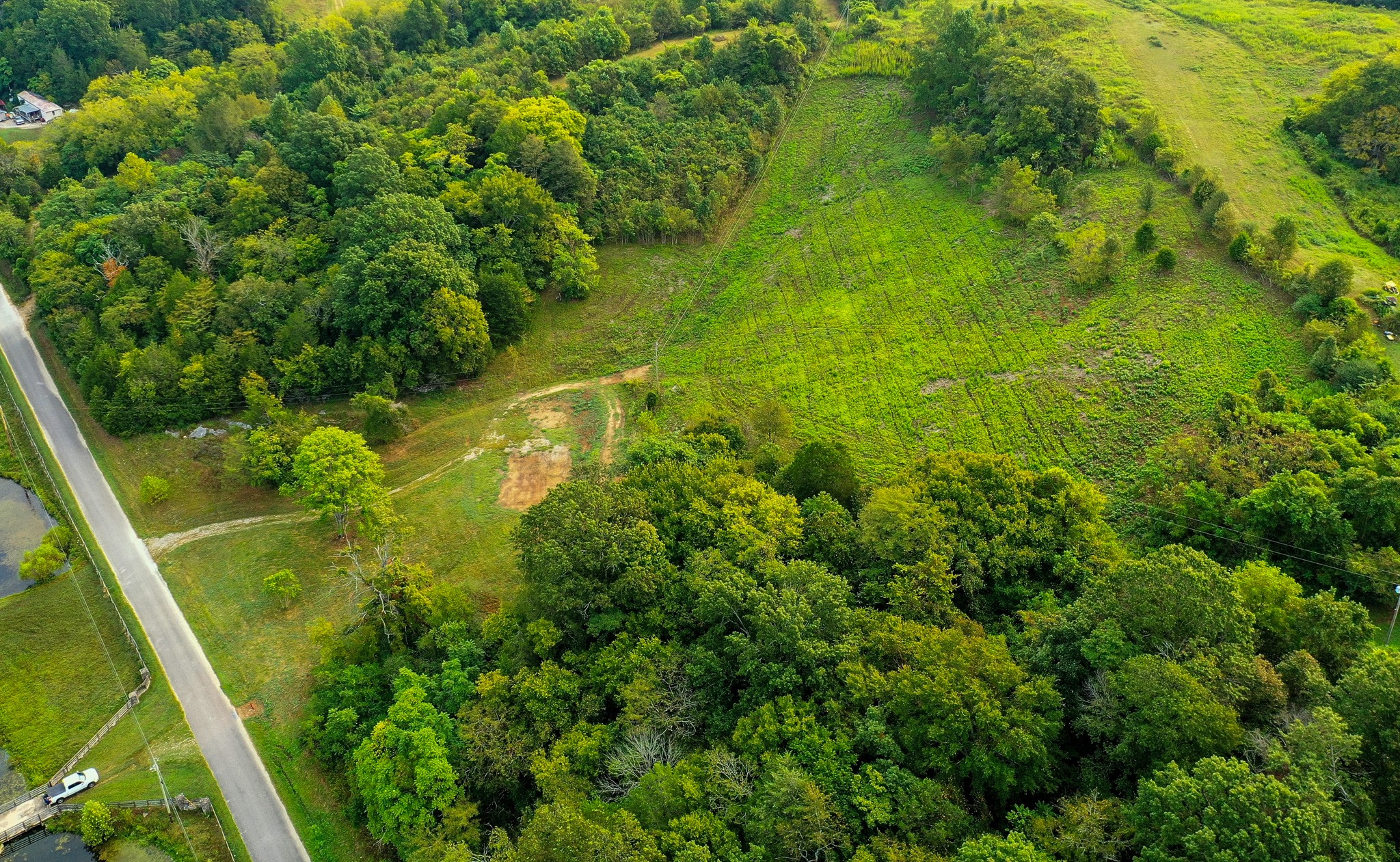 2523 Baptist Church Road Culleoka, TN 38451 - Photo 11 of 15 a view of a garden