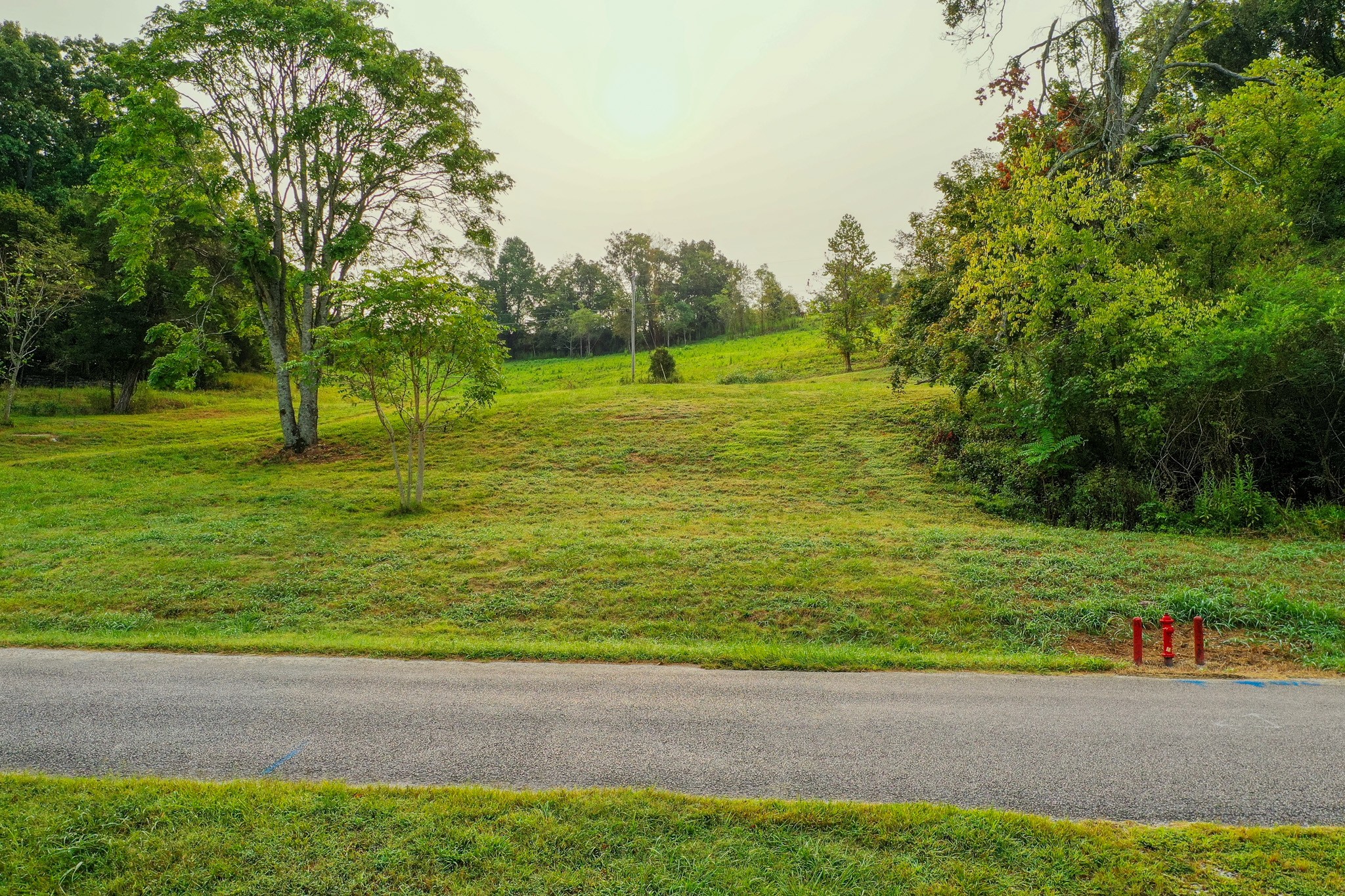 2523 Baptist Church Road Culleoka, TN 38451 - Photo 2 of 15 a grassy field with trees in the background