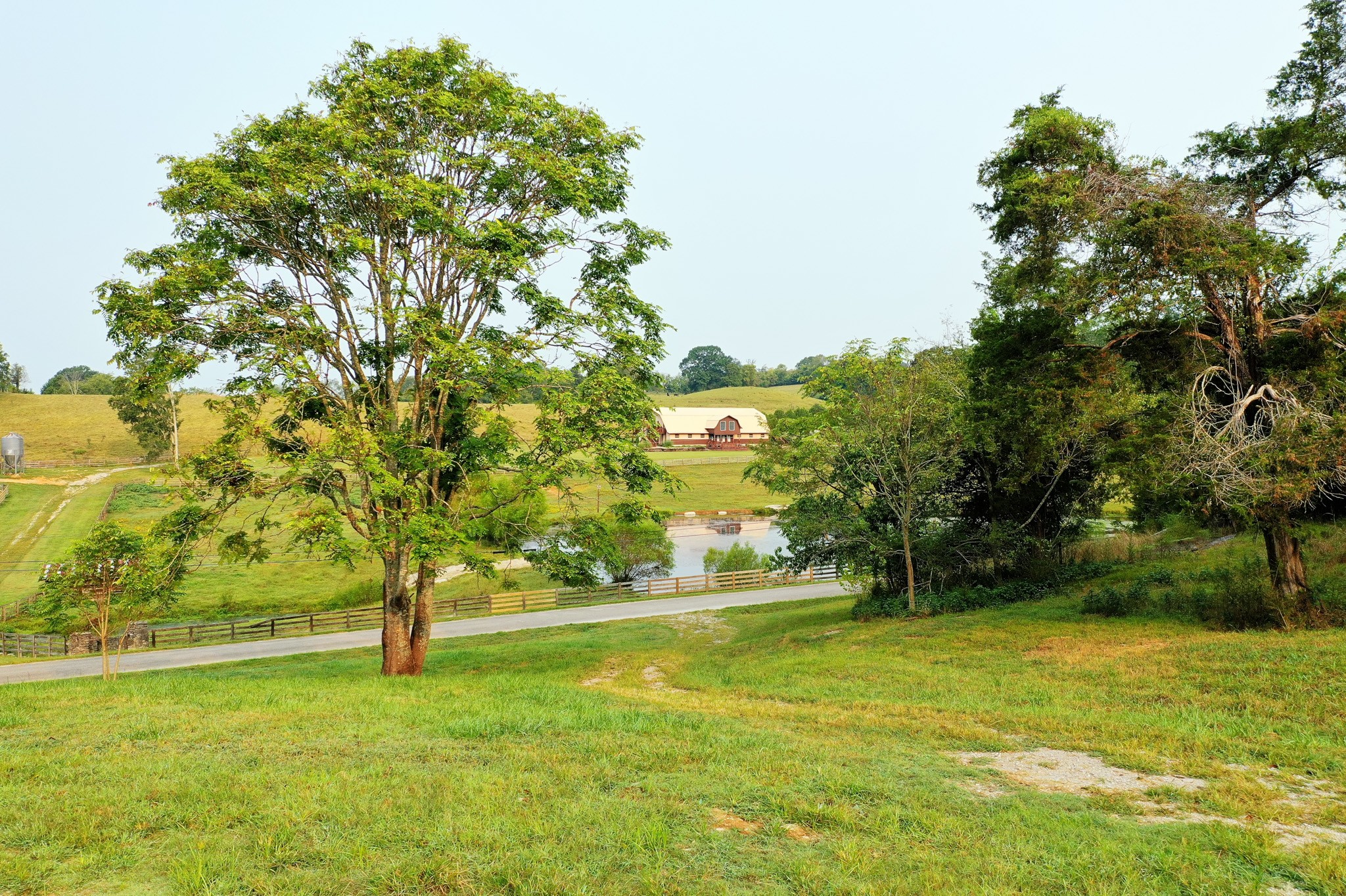 2523 Baptist Church Road Culleoka, TN 38451 - Photo 4 of 15 a view of yard with green space