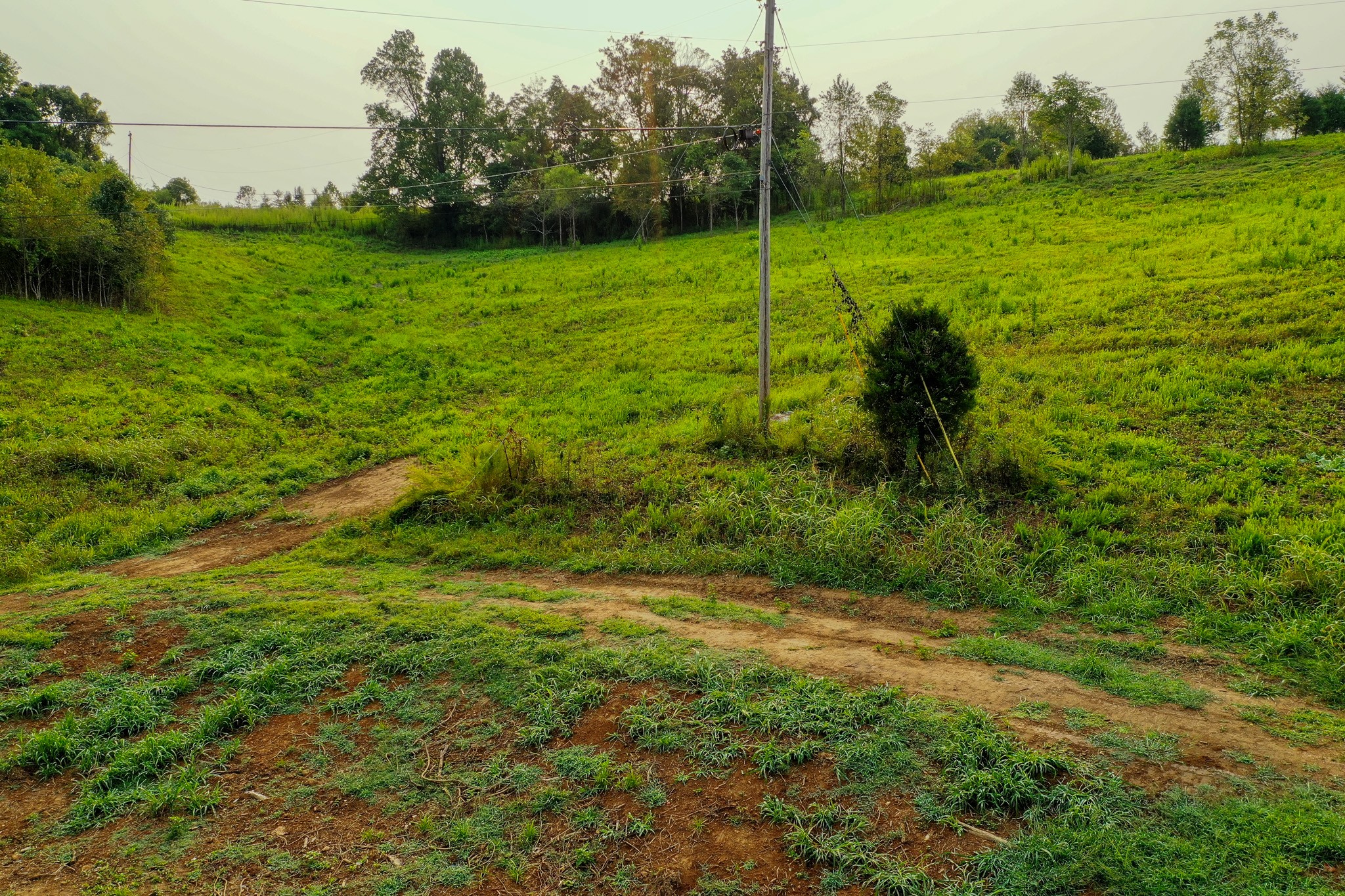 2523 Baptist Church Road Culleoka, TN 38451 - Photo 5 of 15 a view of a field with grass and trees